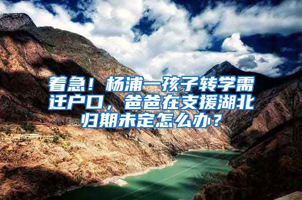 着急！杨浦一孩子转学需迁户口，爸爸在支援湖北归期未定怎么办？