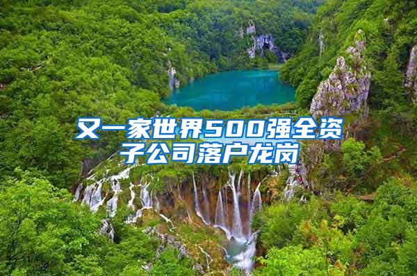 又一家世界500强全资子公司落户龙岗