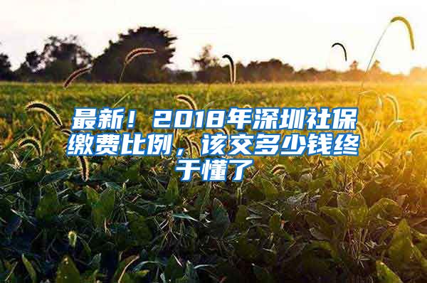 最新！2018年深圳社保缴费比例，该交多少钱终于懂了