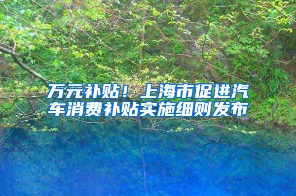 万元补贴！上海市促进汽车消费补贴实施细则发布