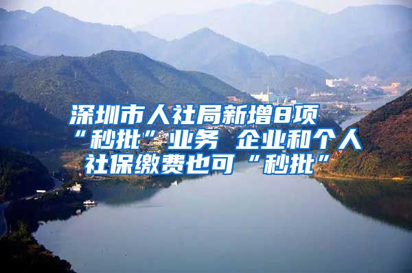 深圳市人社局新增8项“秒批”业务 企业和个人社保缴费也可“秒批”