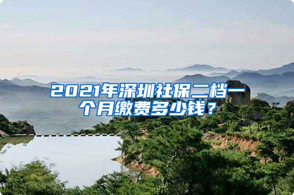 2021年深圳社保二档一个月缴费多少钱？