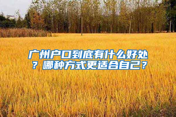 广州户口到底有什么好处？哪种方式更适合自己？