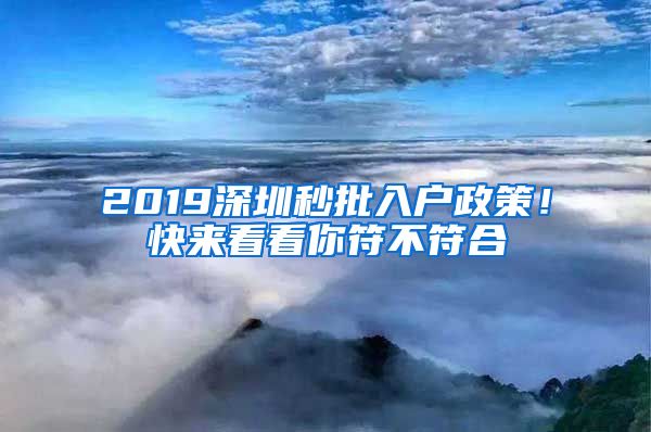 2019深圳秒批入户政策！快来看看你符不符合