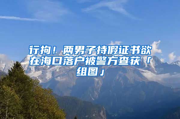 行拘！两男子持假证书欲在海口落户被警方查获「组图」