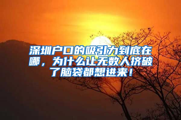 深圳户口的吸引力到底在哪，为什么让无数人挤破了脑袋都想进来！