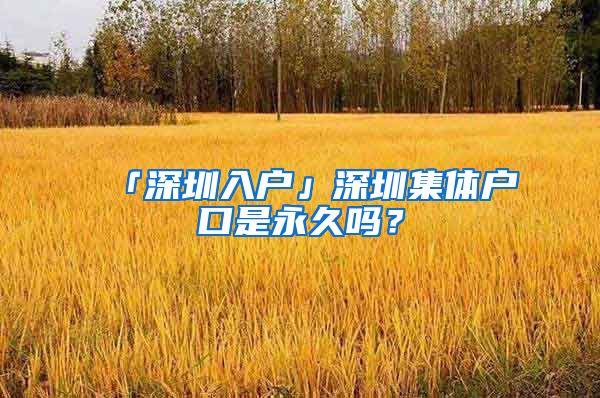 「深圳入户」深圳集体户口是永久吗？