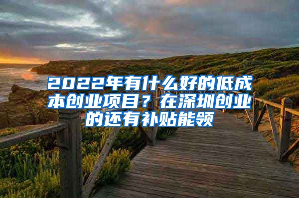 2022年有什么好的低成本创业项目？在深圳创业的还有补贴能领