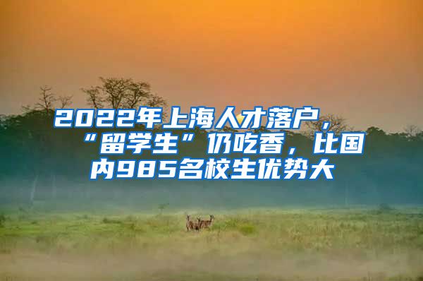 2022年上海人才落户，“留学生”仍吃香，比国内985名校生优势大