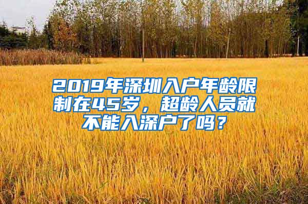 2019年深圳入户年龄限制在45岁，超龄人员就不能入深户了吗？