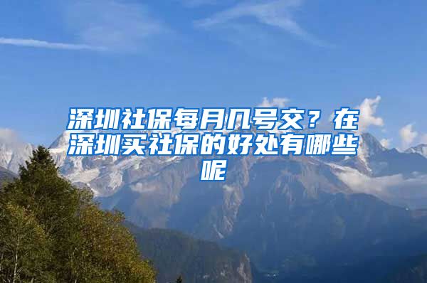 深圳社保每月几号交？在深圳买社保的好处有哪些呢