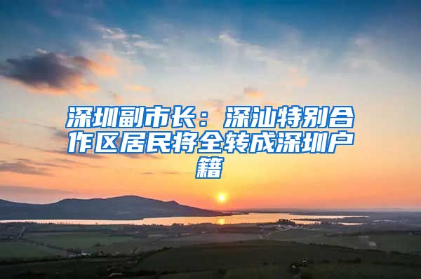 深圳副市长：深汕特别合作区居民将全转成深圳户籍