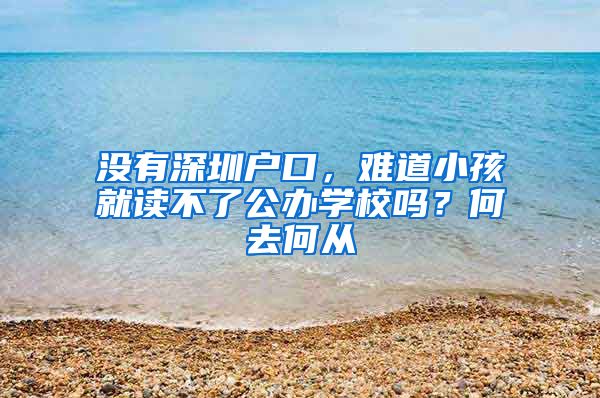 没有深圳户口，难道小孩就读不了公办学校吗？何去何从