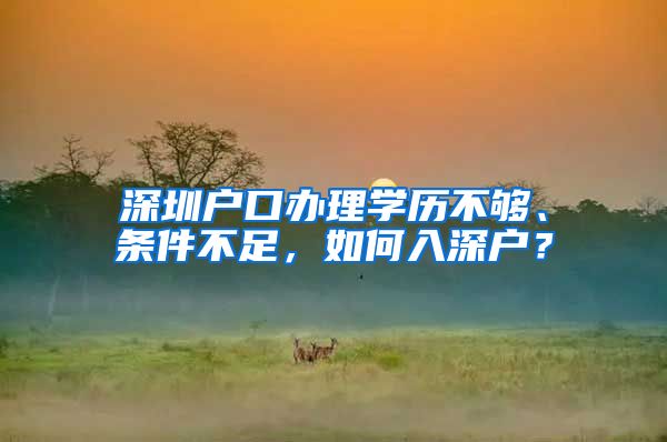 深圳户口办理学历不够、条件不足，如何入深户？