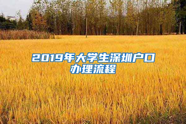 2019年大学生深圳户口办理流程