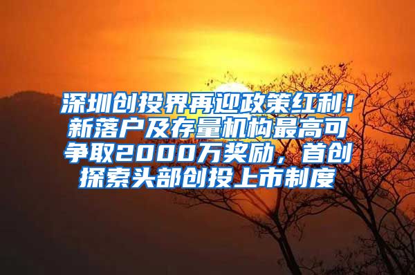 深圳创投界再迎政策红利！新落户及存量机构最高可争取2000万奖励，首创探索头部创投上市制度