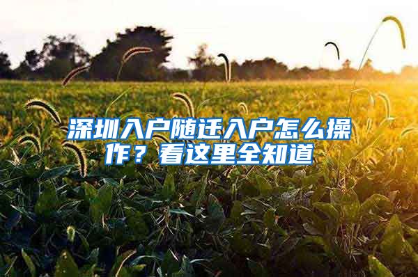 深圳入户随迁入户怎么操作？看这里全知道