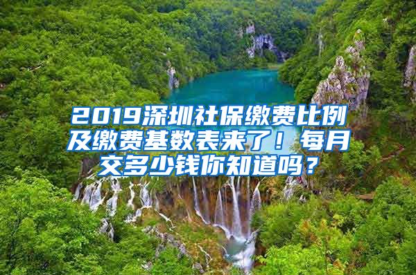 2019深圳社保缴费比例及缴费基数表来了！每月交多少钱你知道吗？