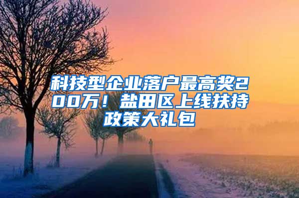 科技型企业落户最高奖200万！盐田区上线扶持政策大礼包