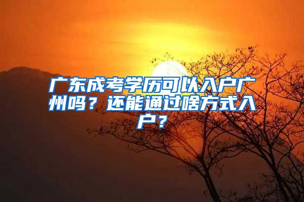 广东成考学历可以入户广州吗？还能通过啥方式入户？