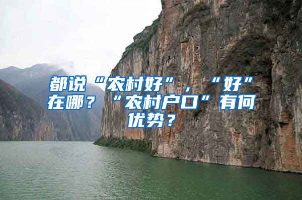 都说“农村好”，“好”在哪？“农村户口”有何优势？