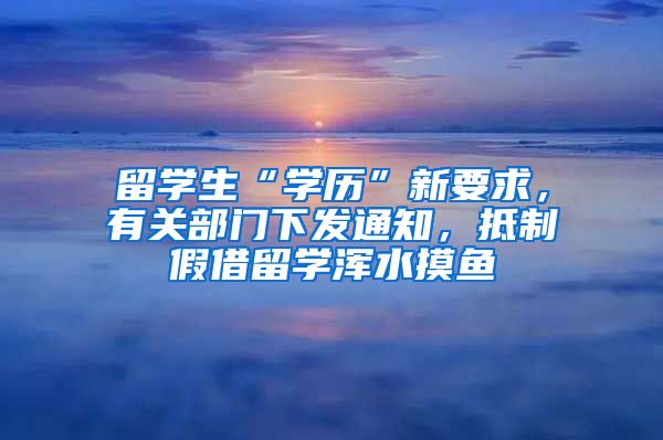 留学生“学历”新要求，有关部门下发通知，抵制假借留学浑水摸鱼