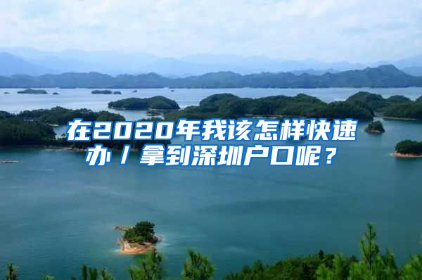 在2020年我该怎样快速办／拿到深圳户口呢？