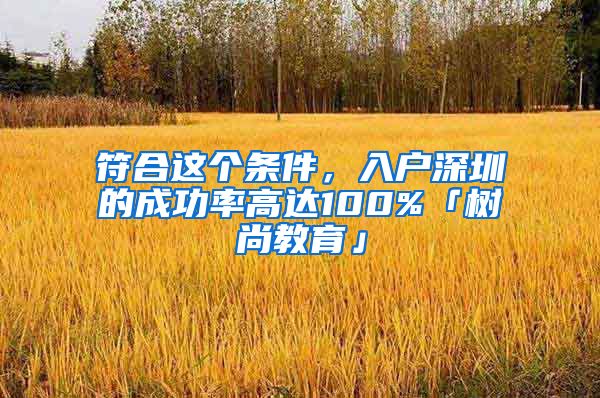 符合这个条件，入户深圳的成功率高达100%「树尚教育」