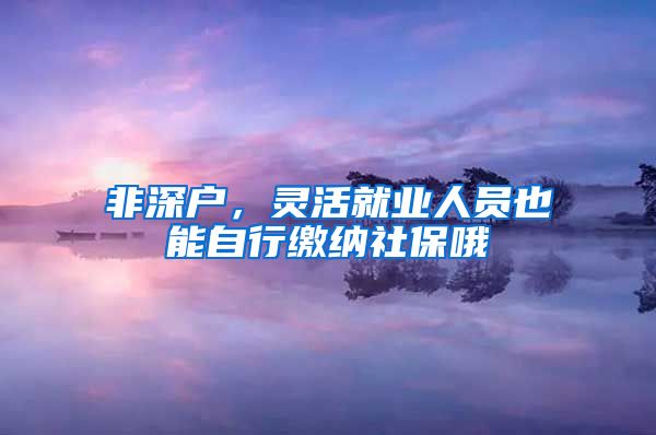 非深户，灵活就业人员也能自行缴纳社保哦