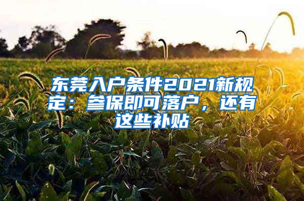 东莞入户条件2021新规定：参保即可落户，还有这些补贴