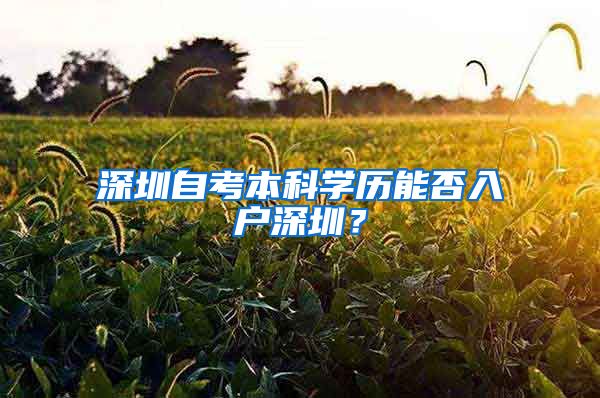 深圳自考本科学历能否入户深圳？