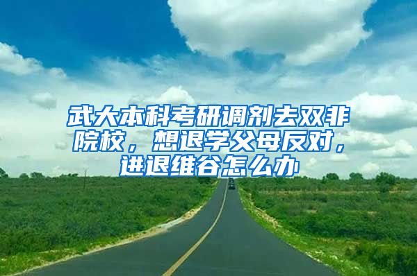 武大本科考研调剂去双非院校，想退学父母反对，进退维谷怎么办