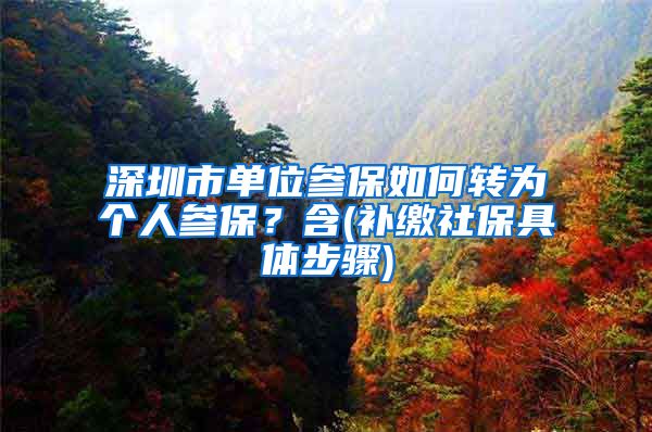 深圳市单位参保如何转为个人参保？含(补缴社保具体步骤)