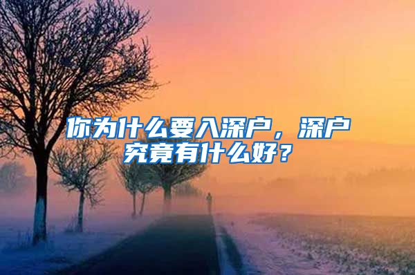 你为什么要入深户，深户究竟有什么好？