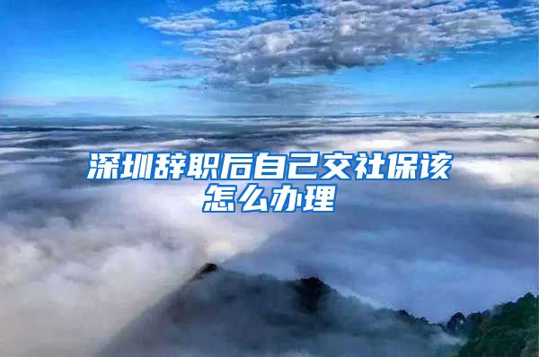 深圳辞职后自己交社保该怎么办理