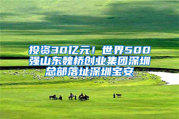 投资30亿元！世界500强山东魏桥创业集团深圳总部落址深圳宝安