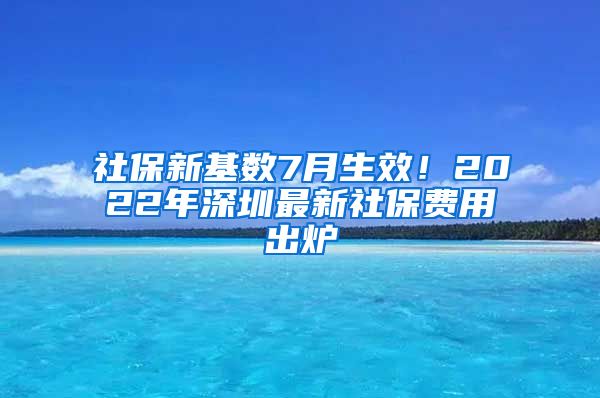 社保新基数7月生效！2022年深圳最新社保费用出炉