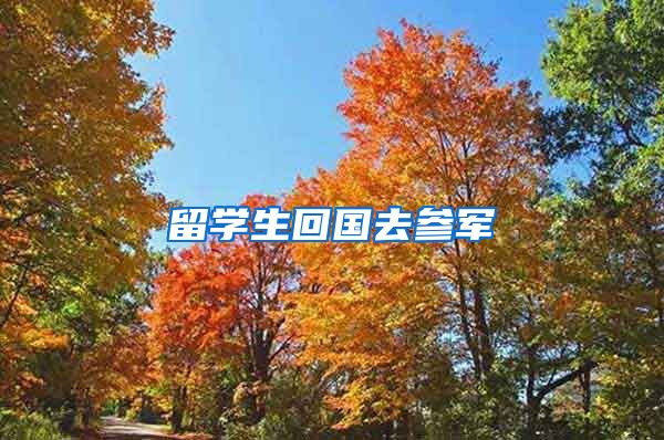 留学生回国去参军