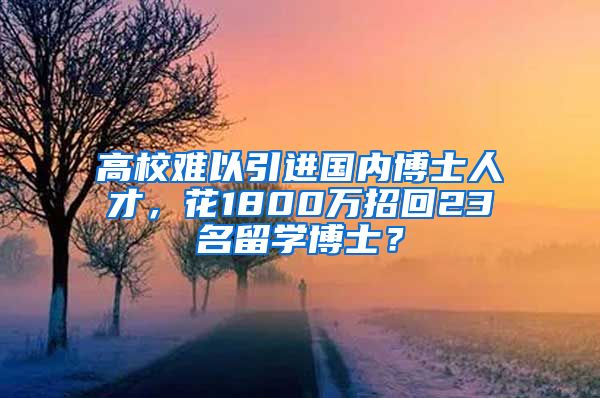 高校难以引进国内博士人才，花1800万招回23名留学博士？