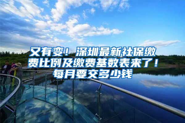 又有变！深圳最新社保缴费比例及缴费基数表来了！每月要交多少钱