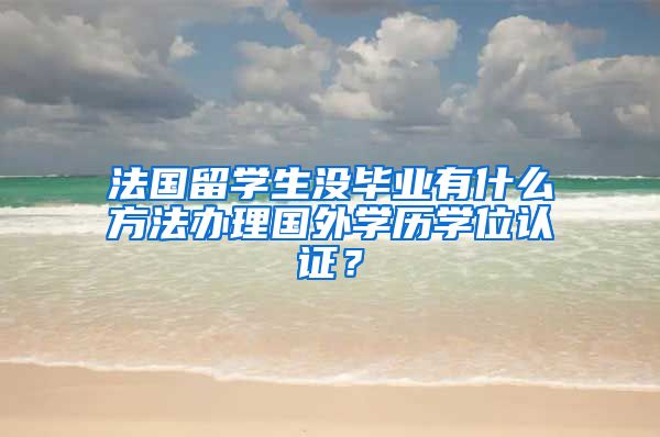 法国留学生没毕业有什么方法办理国外学历学位认证？