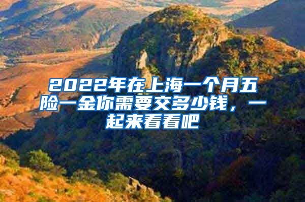 2022年在上海一个月五险一金你需要交多少钱，一起来看看吧