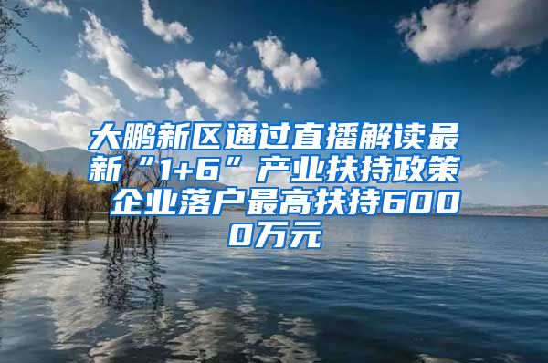 大鹏新区通过直播解读最新“1+6”产业扶持政策 企业落户最高扶持6000万元