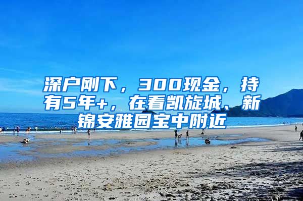 深户刚下，300现金，持有5年+，在看凯旋城、新锦安雅园宝中附近