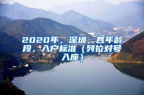 2020年，深圳，各年龄段，入户标准（列位对号入座）