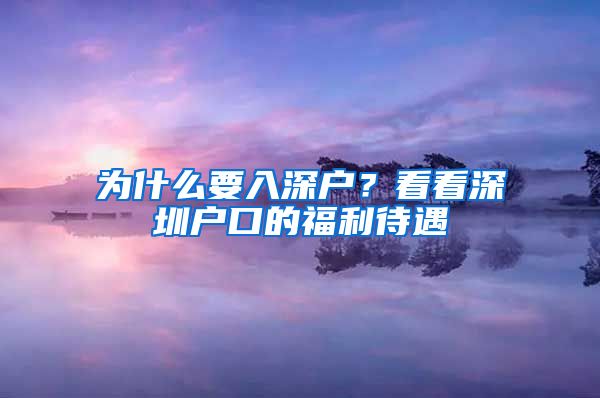 为什么要入深户？看看深圳户口的福利待遇