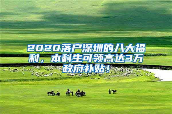 2020落户深圳的八大福利，本科生可领高达3万政府补贴！