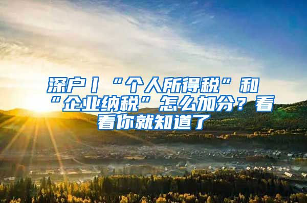 深户丨“个人所得税”和“企业纳税”怎么加分？看看你就知道了