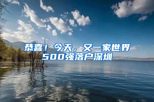 恭喜！今天，又一家世界500强落户深圳