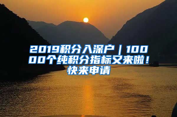 2019积分入深户｜10000个纯积分指标又来啦！快来申请